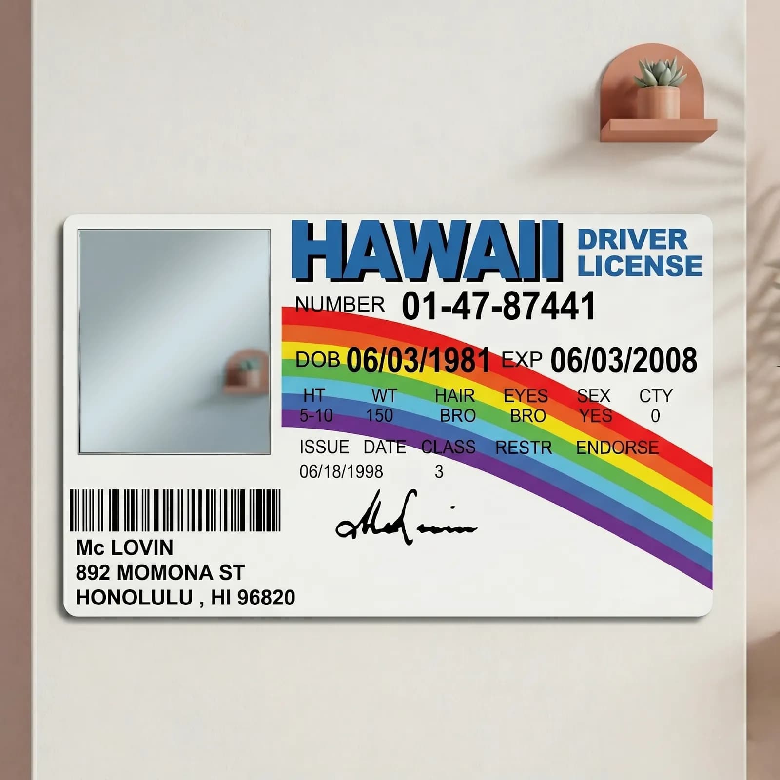Superbad Hawaii License Mirror
